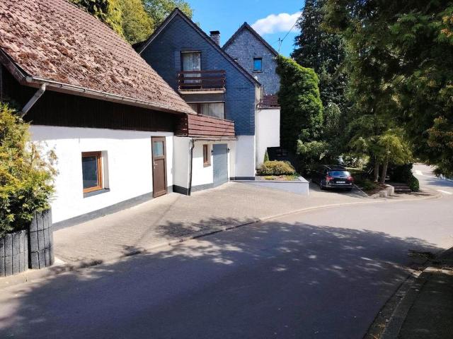 Haus kaufen in Frankenthal, Wissen