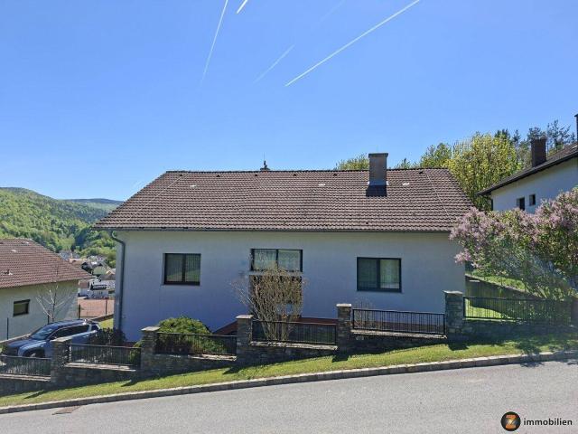 Haus kaufen in Lockenhaus, Burgenland