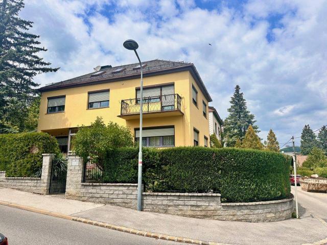 Haus kaufen in KG Hadersdorf, Wien