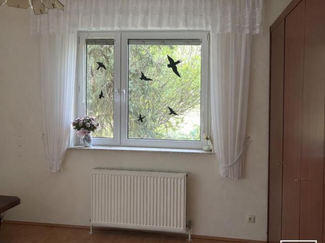 Haus kaufen in Riedenthal, Wolkersdorf im Weinviertel