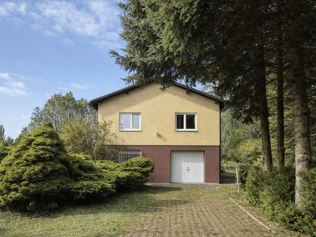 Haus kaufen in Riedenthal, Wolkersdorf im Weinviertel