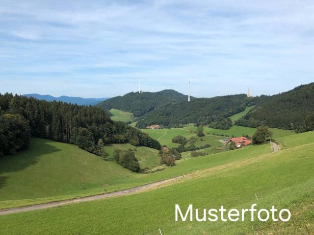 Haus kaufen in Steinen, Baden-Württemberg