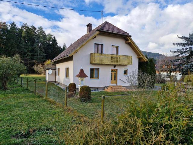 Haus kaufen in Neuhaus, Kärnten