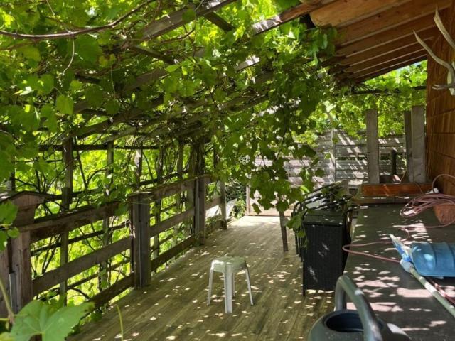 Haus kaufen in Kirchdorf in Tirol, Tirol