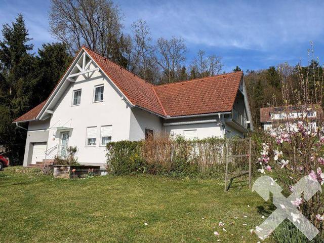 Haus kaufen in Fehring, Steiermark