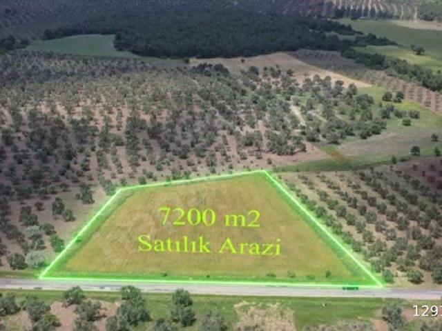 Mecidiye, Ezine içerisinde satılık Arsa