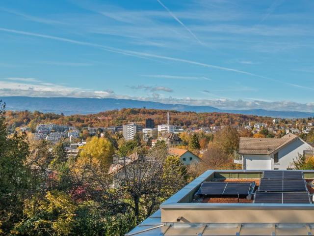 Wohnung kaufen in Lausanne, Waadt