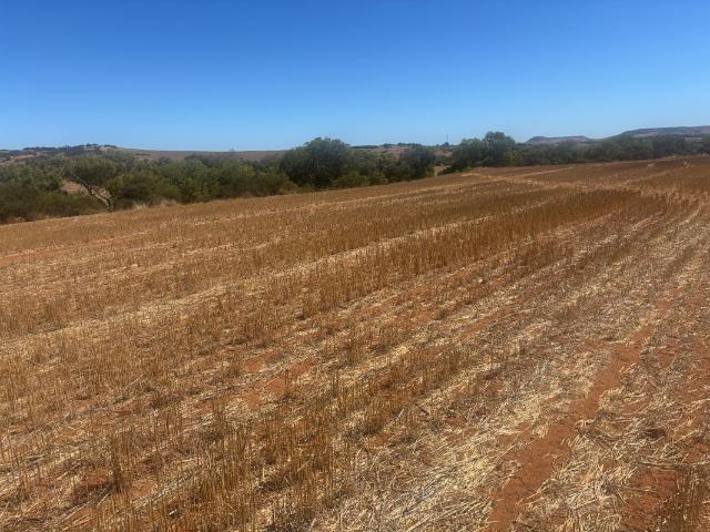 Cottage for sale in Western Australia