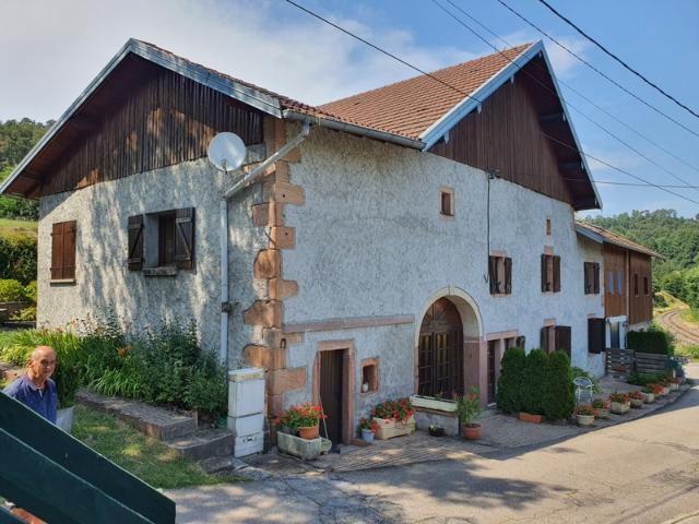 Ferme vente à Épinal, Tendon