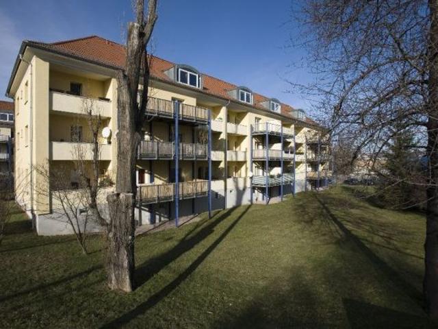 Wohnung mieten in Seidnitz, Dresden