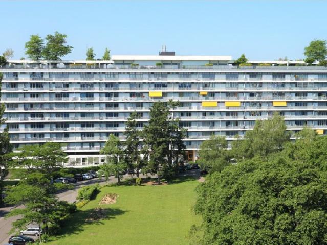 Wohnung mieten in Le Petit-Saconnex, Genève