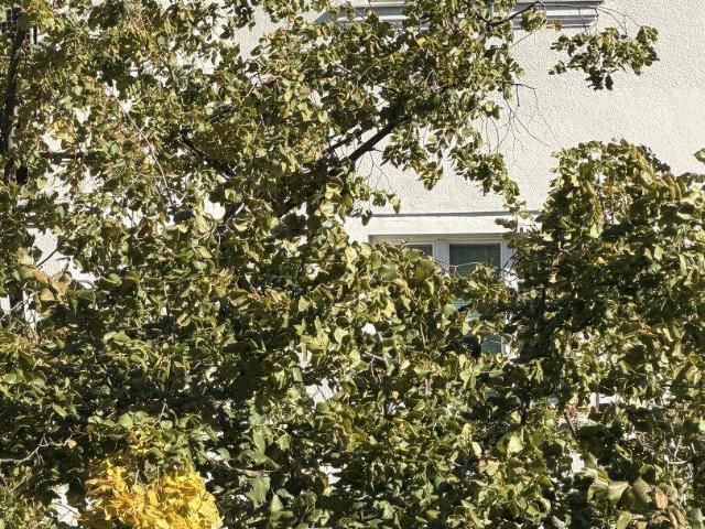Apartment mieten in Nibelungenviertel, Wien