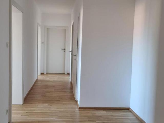 Wohnung mieten in Pöggstall, Bezirk Melk