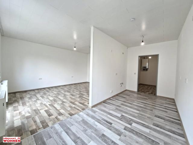 Apartment mieten in Stollhofen, Traismauer