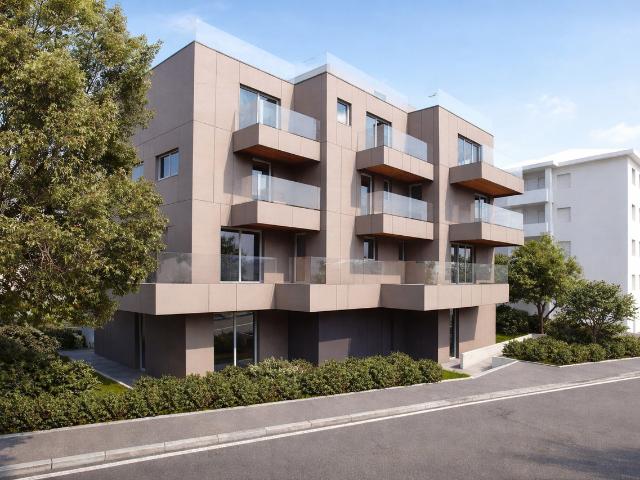 Wohnung kaufen in Aldesago, Tessin