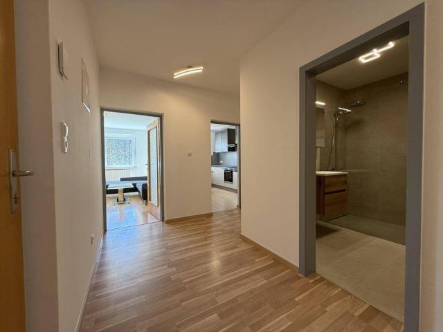 Apartment mieten in Hopfgarten, Boden