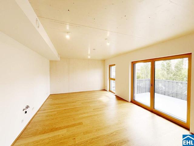 Wohnung mieten in Mödling, Niederösterreich