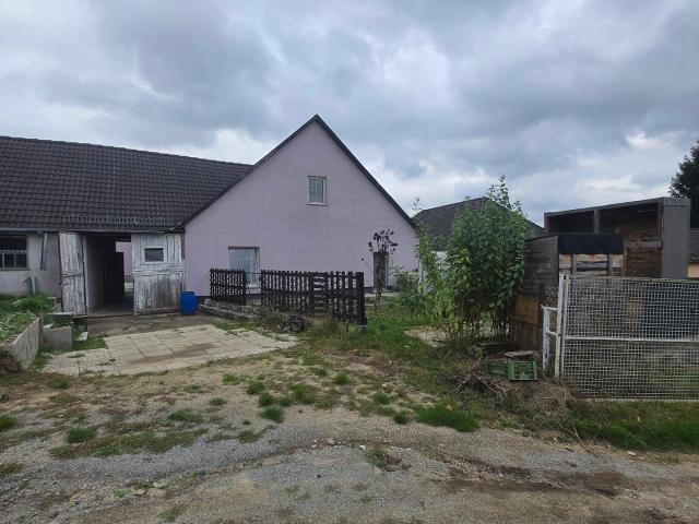 Apartment mieten in Niederschrems, Schrems