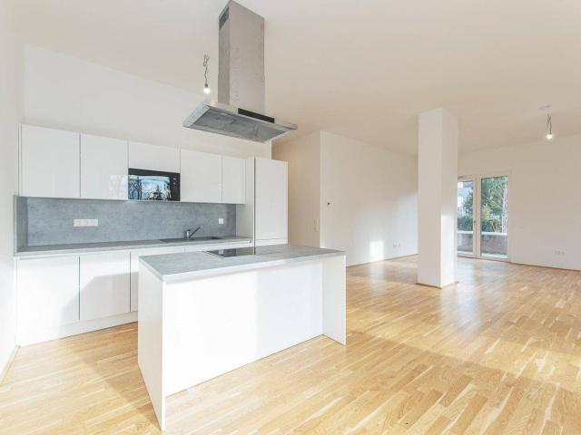 Apartment kaufen in KG Hadersdorf, Wien