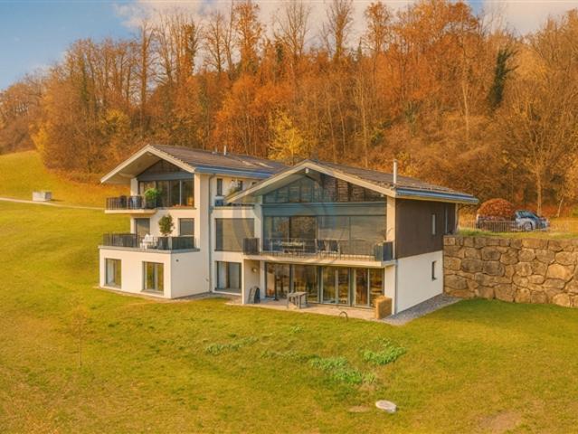 Wohnung kaufen in Corsier-sur-Vevey, Waadt