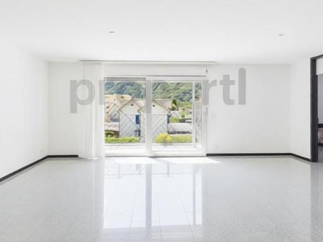 Wohnung kaufen in Arbedo-Castione, Tessin