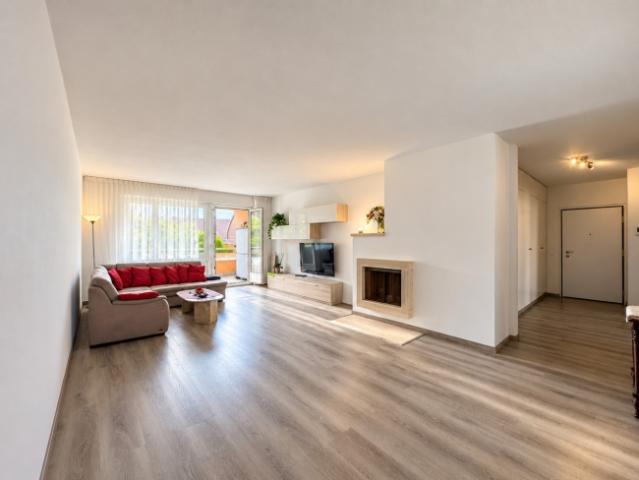 Wohnung kaufen in Gentilino, Collina d'Oro