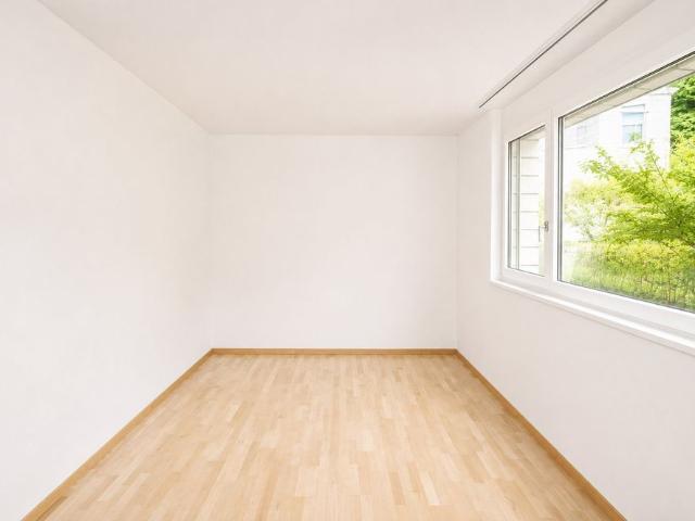 Apartment mieten in Schönenberg, Bottmingen
