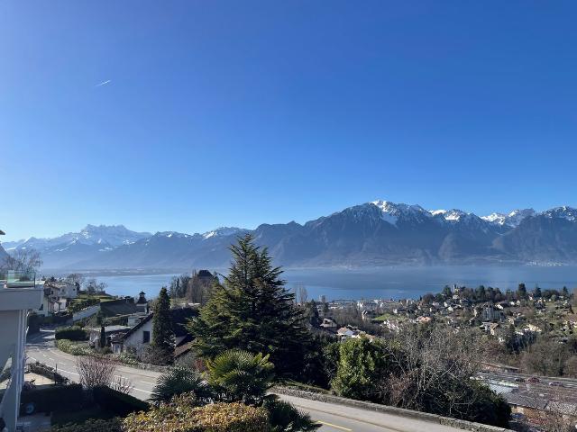 Wohnung kaufen in Chailly-Montreux, Waadt