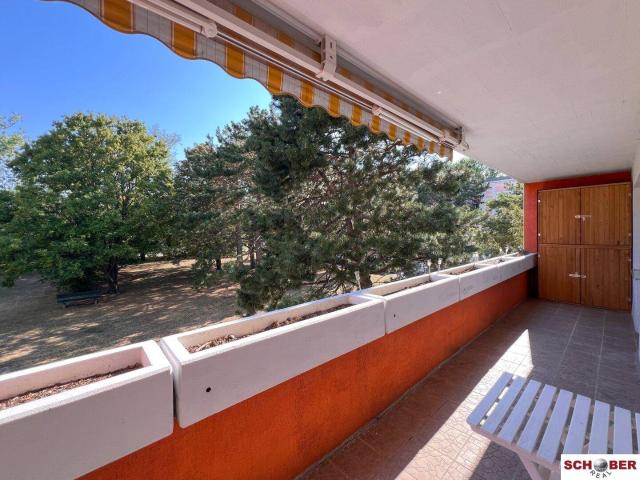 Apartment kaufen in Maria Enzersdorf, Niederösterreich