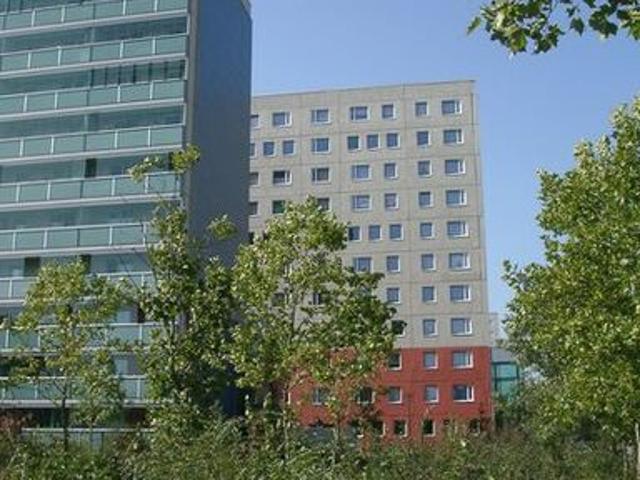 Apartment mieten in Sachsendorf, Cottbus