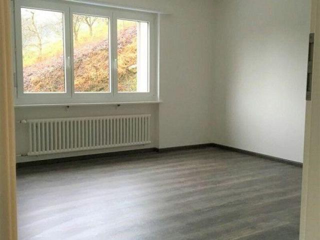 Apartment mieten in Rebstein, St. Gallen