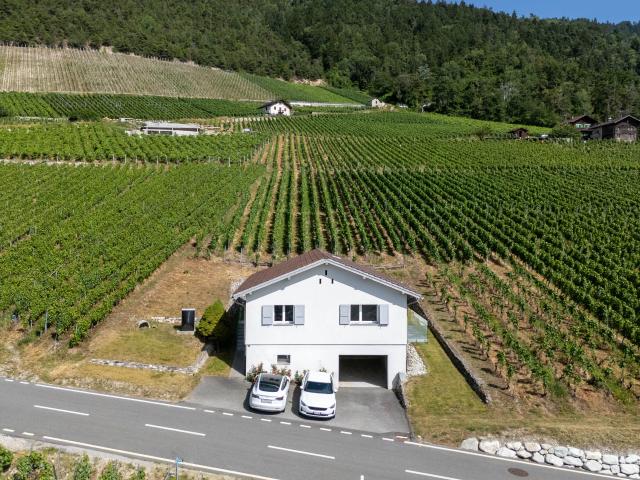 Haus kaufen in Les Mayens-de-Sion, Wallis