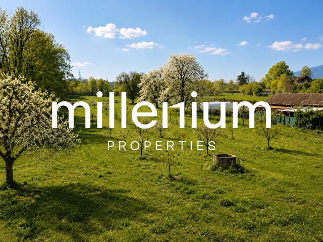 Wohnung mieten in Cartigny