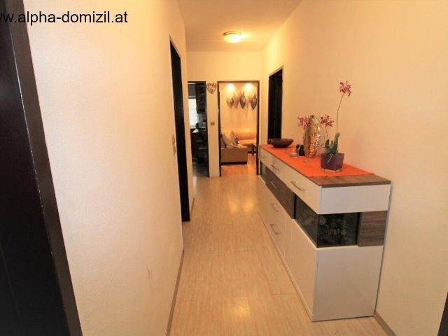 Apartment kaufen in Wiener Neudorf, Niederösterreich