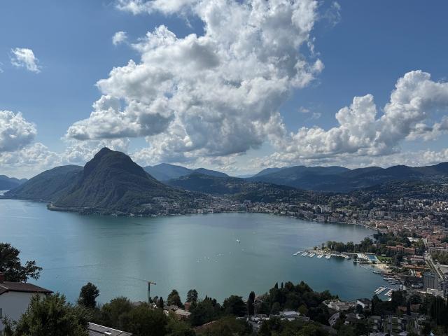 Wohnung kaufen in Aldesago, Tessin