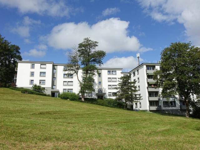 Wohnung mieten in Einigen, Zürich