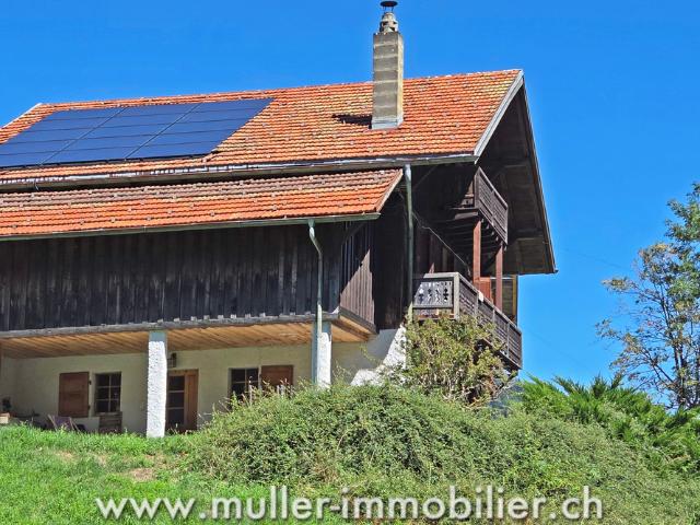 Haus kaufen in Champéry, Wallis