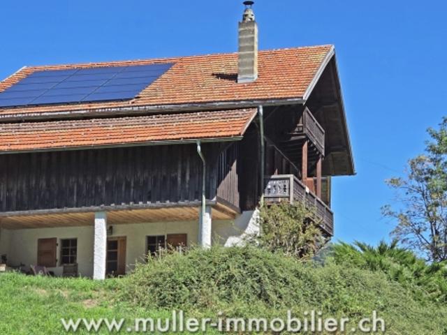 Haus kaufen in Champéry, Wallis