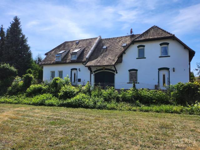 Villa kaufen in Mügeln