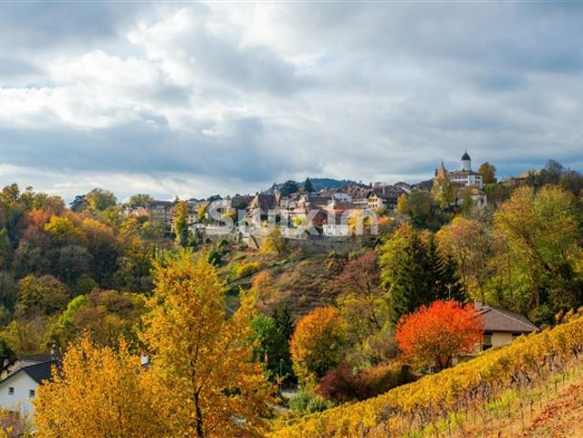 Zweifamilienhaus mieten in Rolle, Waadt