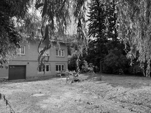 Haus kaufen in Langenzersdorf, Niederösterreich
