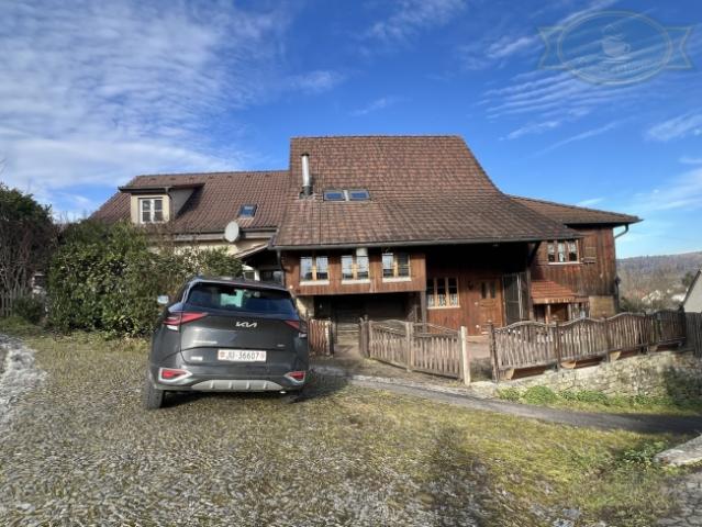 Einfamilienhaus kaufen in Basse-Allaine, Jura