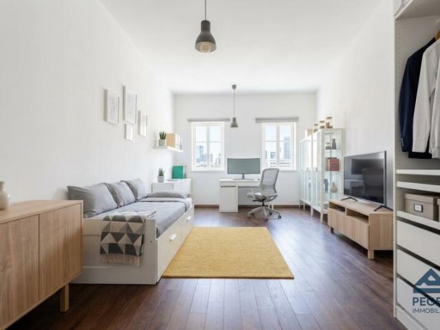 Wohnung mieten in Altstadt, Salzburg