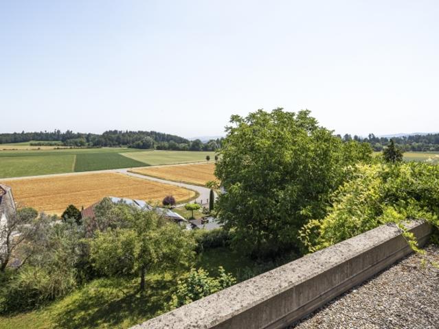 Einfamilienhaus kaufen in Hagenbuch, Zürich