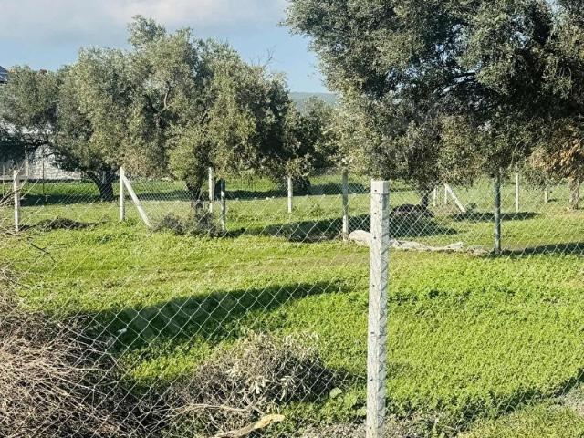 Foça, İzmir içerisinde satılık mülk