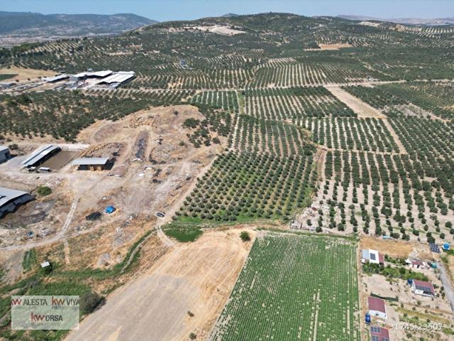 Mareşal Fevzi Çakmak Mahallesi, Foça içerisinde satılık Arsa