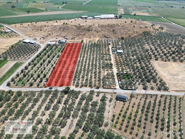 Mareşal Fevzi Çakmak Mahallesi, Foça içerisinde satılık Arsa