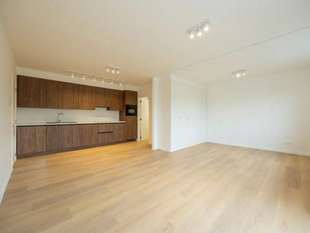 Kot location à Antwerpen