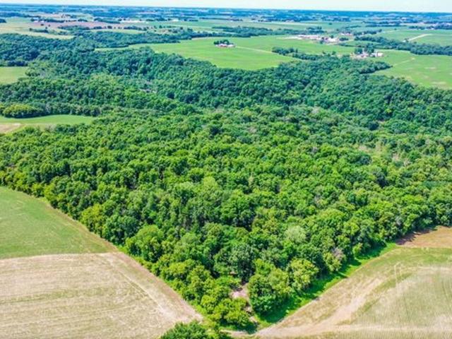 Land for sale in Warren, Minnesota