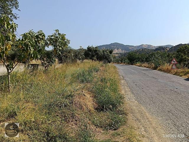 Dağkaraağaç, Germencik içerisinde satılık mülk